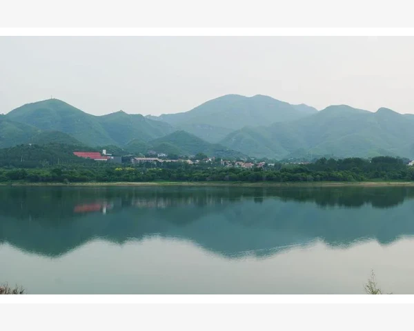 一看中医就脾胃不和？了解背后原因及调理方法