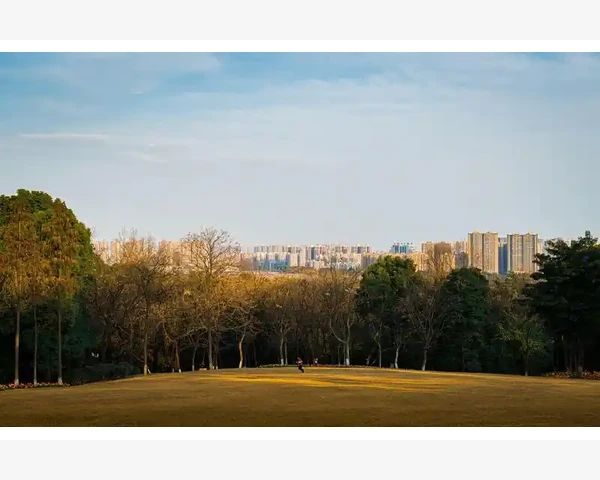 补气中药熬制时长与美味享受的秘诀