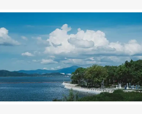 刮痧后洗澡还是洗澡后刮痧？揭秘中医古法护理的顺序之争