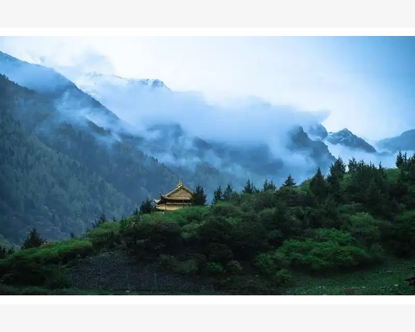 通过清热化痰丸 缓解咳嗽、白痰等症状的中医药品