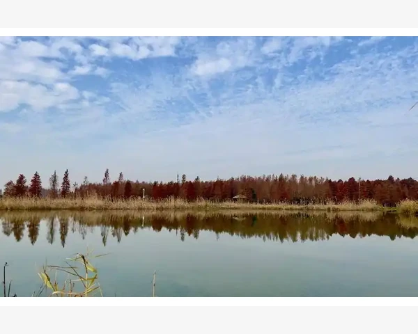 吸烟有害健康，养成健康生活习惯，拯救烟肺与你我息息相关